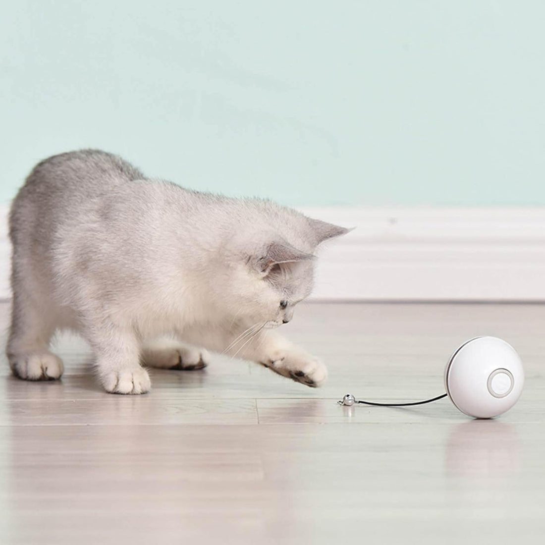 Rolling Electric Cat Toy